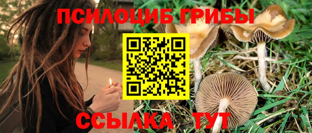Псилоцибиновые грибы GOLDEN TEACHER Нягань